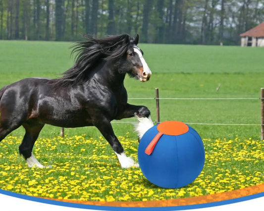 Herding Horse Ball Toy Thickened  / Scratch-Resistant Training Ball