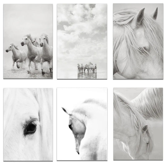 White Horse Print Art Canvas  Décor