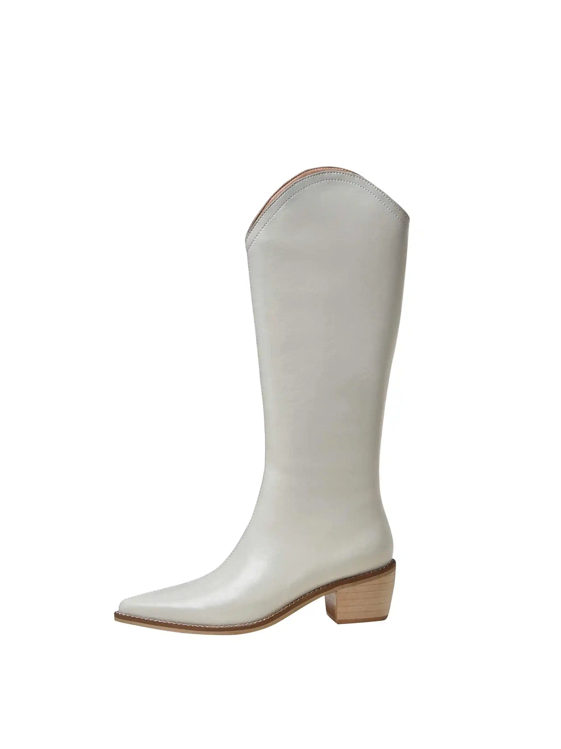 New Arrival Chic Cow Leather  Pointed Toe Riding Boots - Ghoddosh