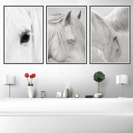 White Horse Print Art Canvas  Décor