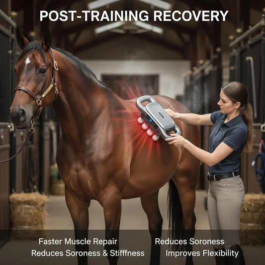 Horse Multi-head Muscle Massager Tool @ ghoddosh.com