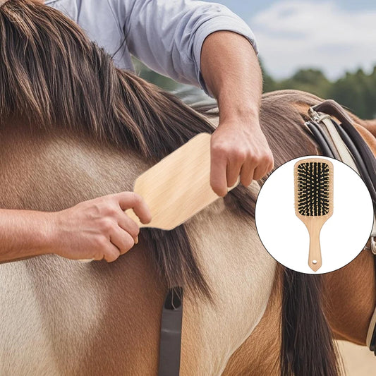 Man grooming a horse with a close-up of a wooden brush inset. @ ghoddosh.com