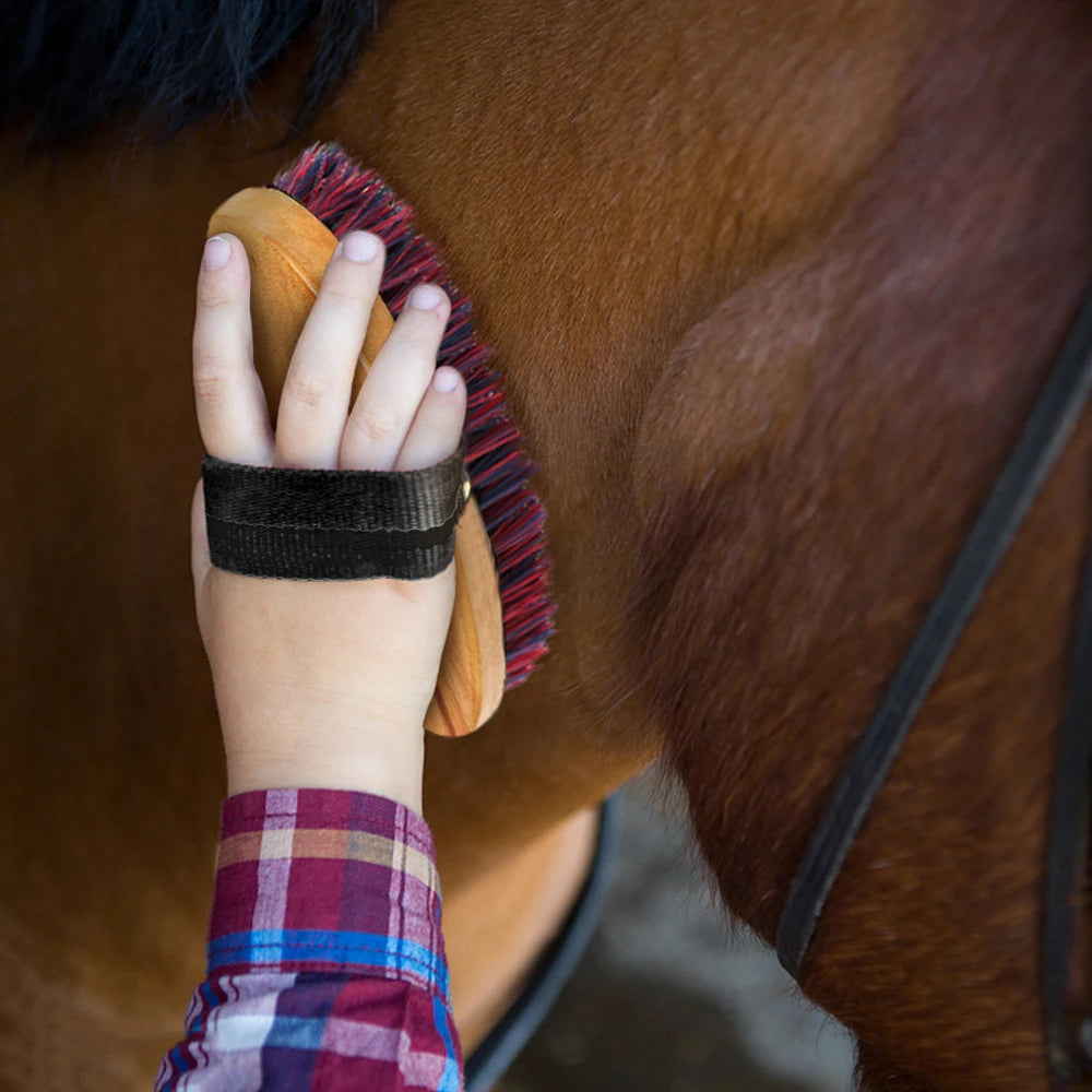 10-IN-1 Horse Grooming Tool Set
