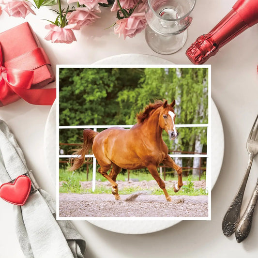 20 / 40 / 60 / 80 / 100 PCS of  Horse Party Paper Napkins