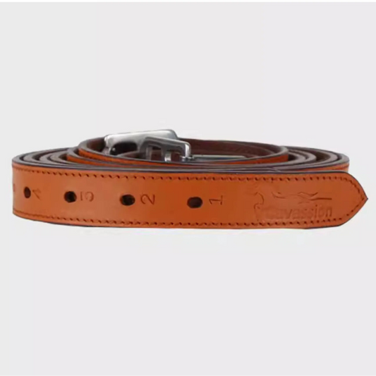 Equestrian / Horse Riding  special compression buckle cowhide webbing strap, stirrup strap, saddle accessories and  riding equipment