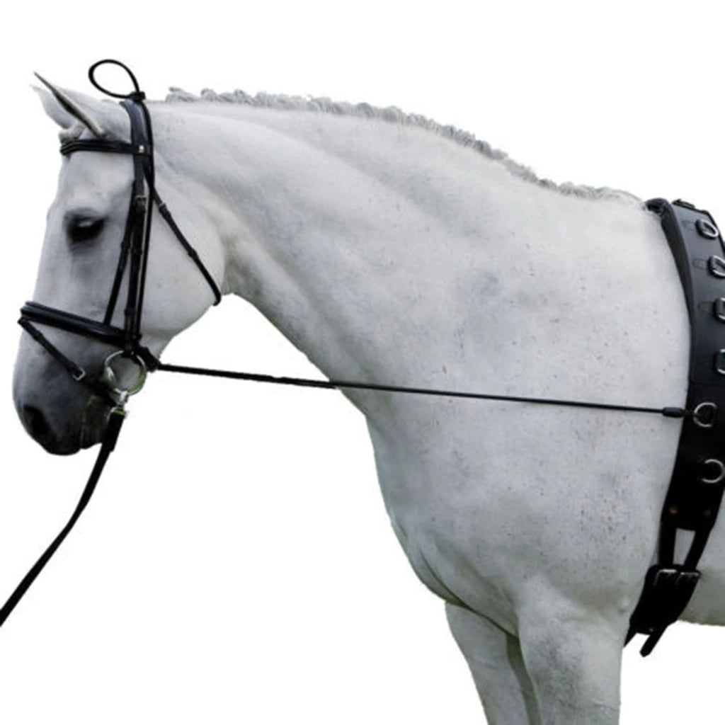 Horse Black Neck Stretcher