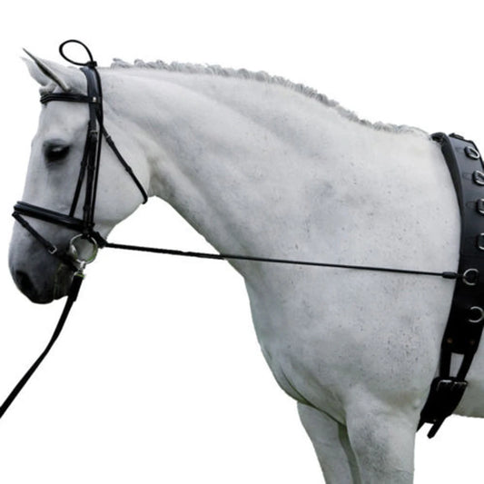 Horse Black Neck Stretcher