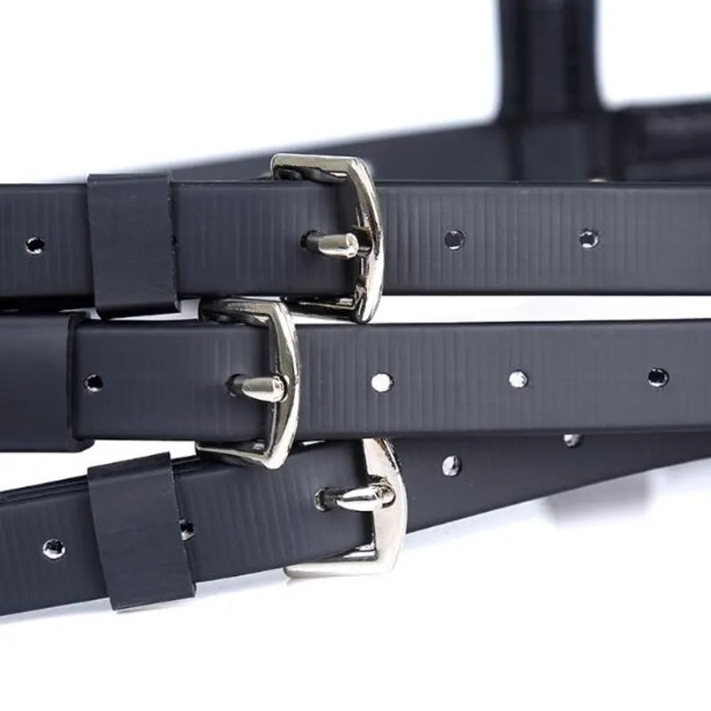 Equestrian / Horse Riding  Professional  Bridle