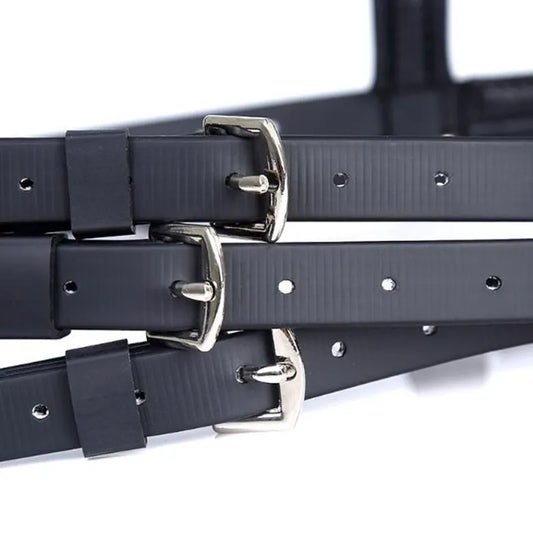 Equestrian / Horse Riding  Professional  Bridle