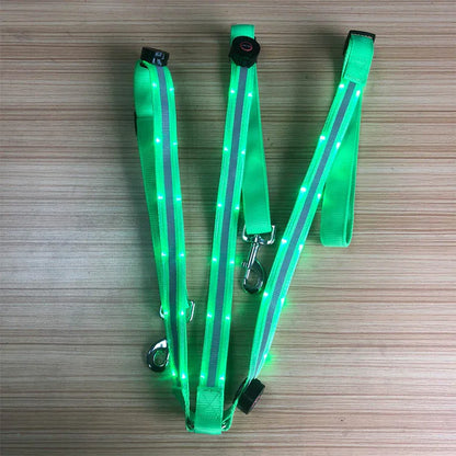 LED Horse  Nylon Night Visible belt