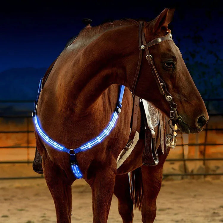 LED Horse  Nylon Night Visible belt