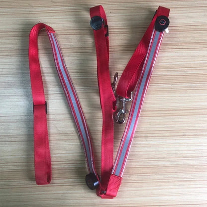 LED Horse  Nylon Night Visible belt
