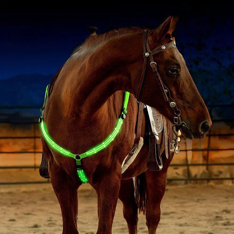 LED HLED Horse  Nylon Night Visible beltorse  Nylon Night Visible belt