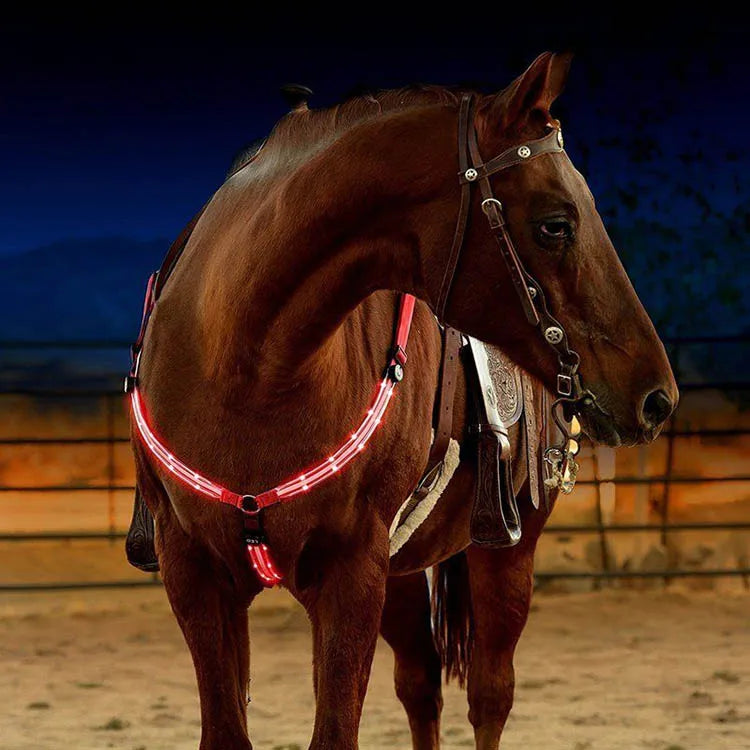 LED Horse  Nylon Night Visible belt
