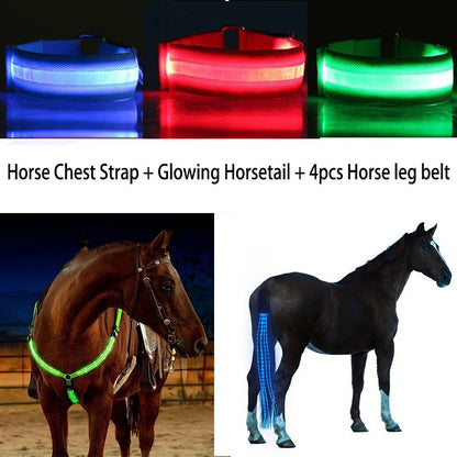 LED Horse Tack for Enhanced Visibility (Legs, Chest, Tail) - Ghoddosh