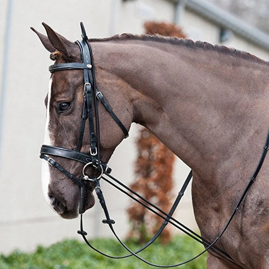 Horse Black Neck Stretcher