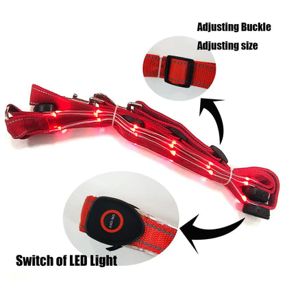LED Horse Tack for Enhanced Visibility (Legs, Chest, Tail) - Ghoddosh