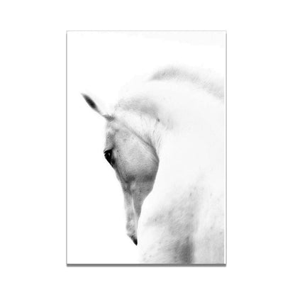 White Horse Print Art Canvas  Décor