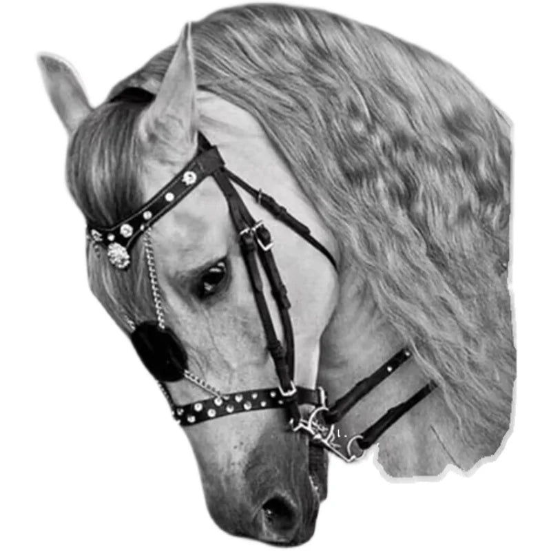 European Equestrian Leather Bridle Reins . Ghoddosh 