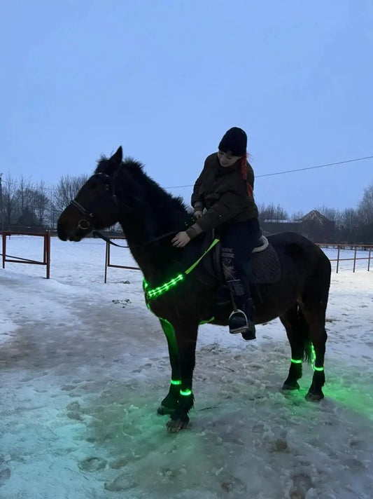 LED Horse  Nylon Night Visible belt