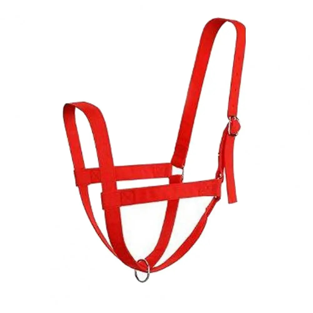 1/4/7 Pcs Horse Christmas Red Costumes  - Santa Hat , Horse Saddle , Pad Leg Wraps Decoration Accessories Xmas Winter Holiday Supplies - ghoddosh.com