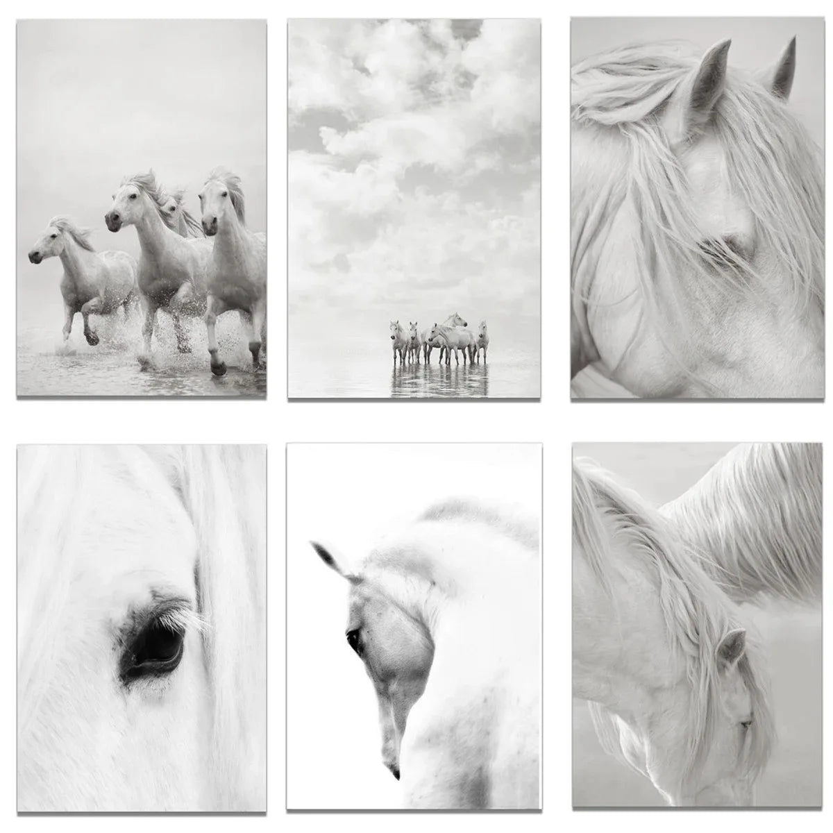 White Horse Print Art Canvas  Décor