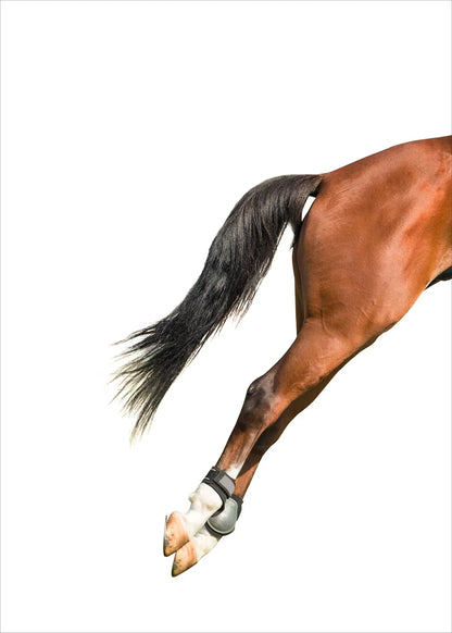 Horse Racing Equestrian Horse  Double Decorative Paintings @ ghoddosh.com