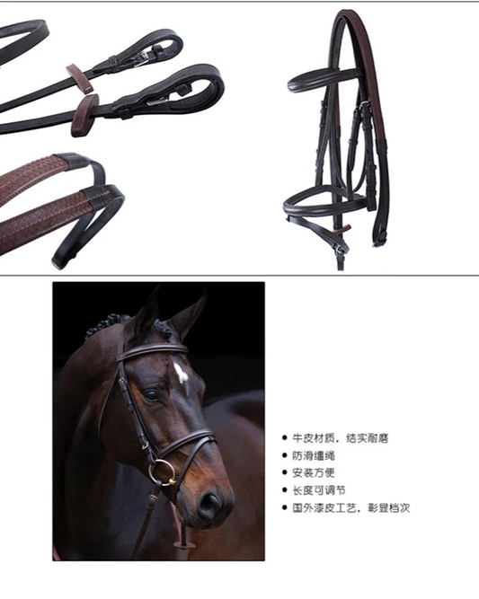 English Halter and Bridle, All Leather, Horse Riding Equipment