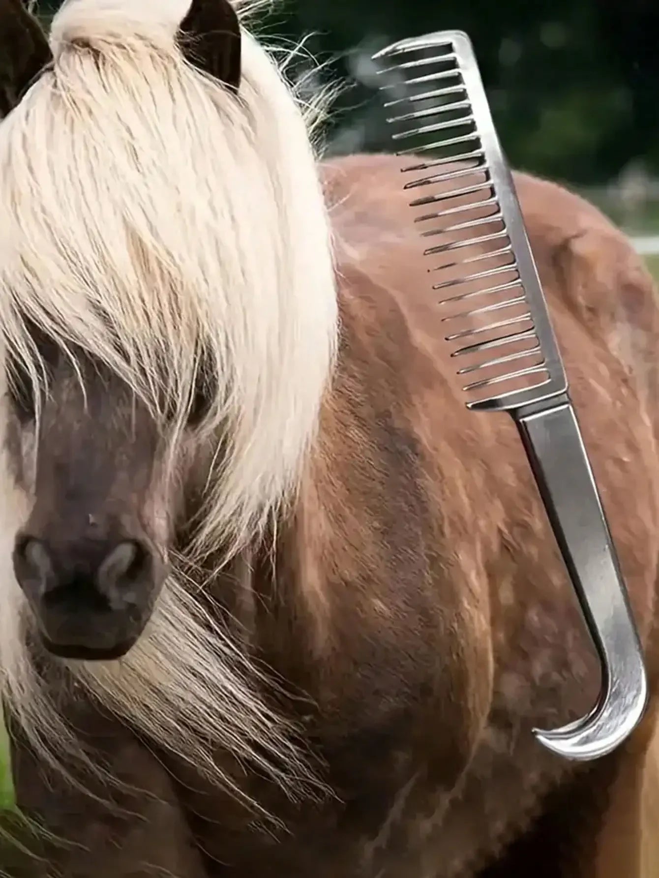 1pc Aluminum Alloy Horse Comb - Lightweight, Durable, Tangle-Free, Gentle on Horse Mane & Legs - Ghoddosh