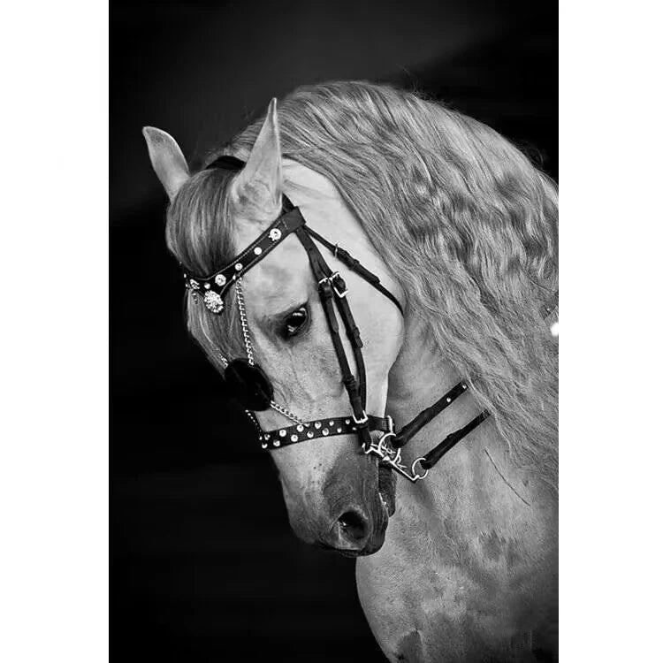 European Equestrian Leather Bridle Reins . Ghoddosh 
