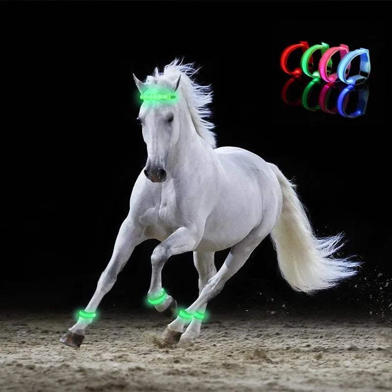 4 pcs set led  Lighting Horse Leg Safety Belt