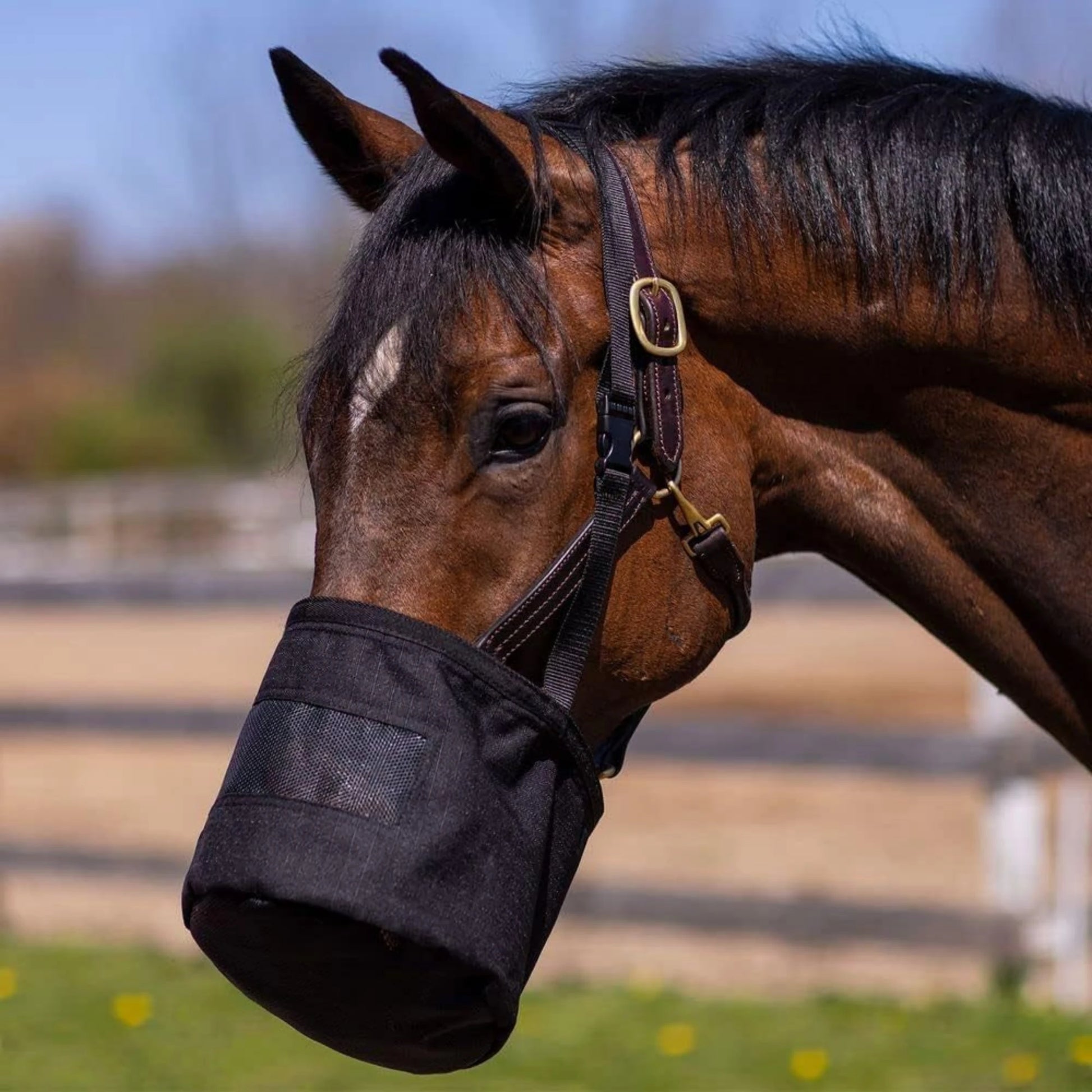 Horse Hay Hanging Neck  Feeding Adjustable Outdoor  Bags