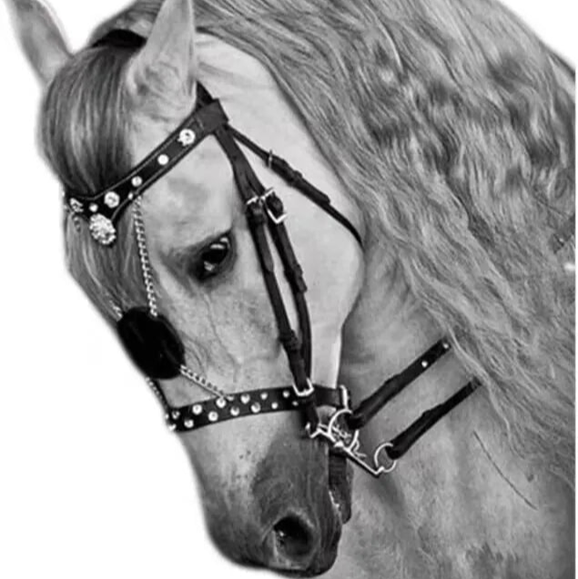 European Equestrian Leather Bridle Reins . Ghoddosh 