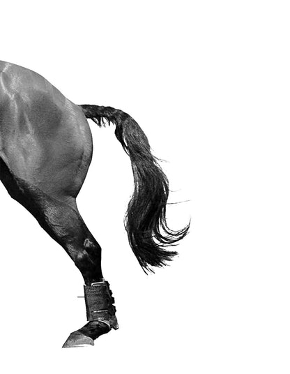 Horse Racing Equestrian Horse  Double Decorative Paintings @ ghoddosh.com