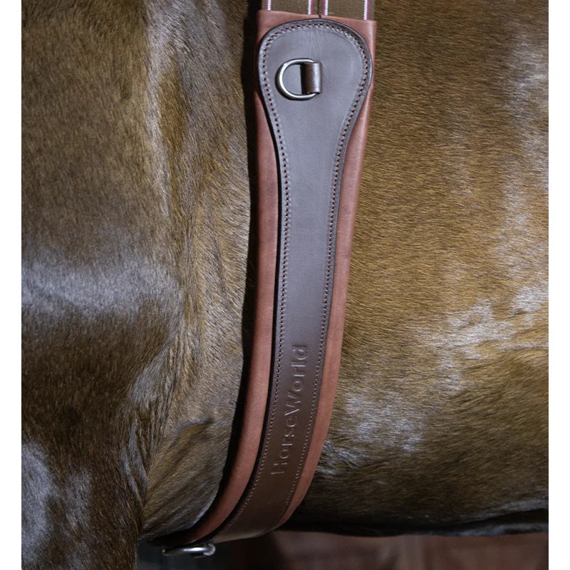 Premium Chocolate Leather Anatomical Girth | Anti-Chafe, Elastic & Padded for Training & Show @ ghoddosh.com