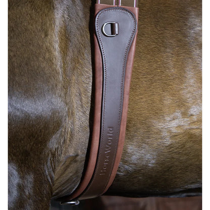 Premium Chocolate Leather Anatomical Girth | Anti-Chafe, Elastic & Padded for Training & Show @ ghoddosh.com