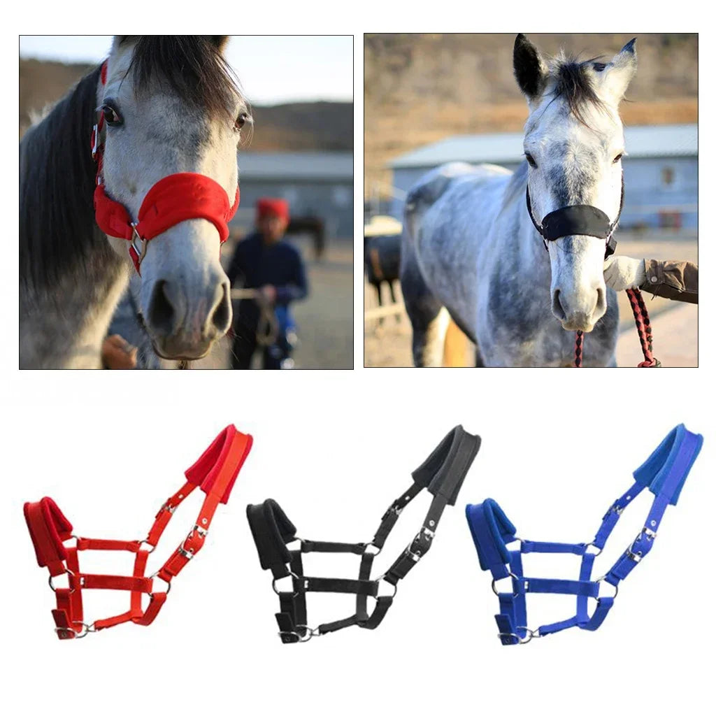 Soft Padded Pony Horse Halter / Bridle  Head Collar