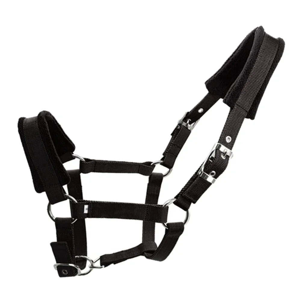 Soft Padded Pony Horse Halter / Bridle  Headcollar