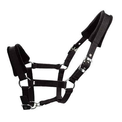 Soft Padded Pony Horse Halter / Bridle  Headcollar