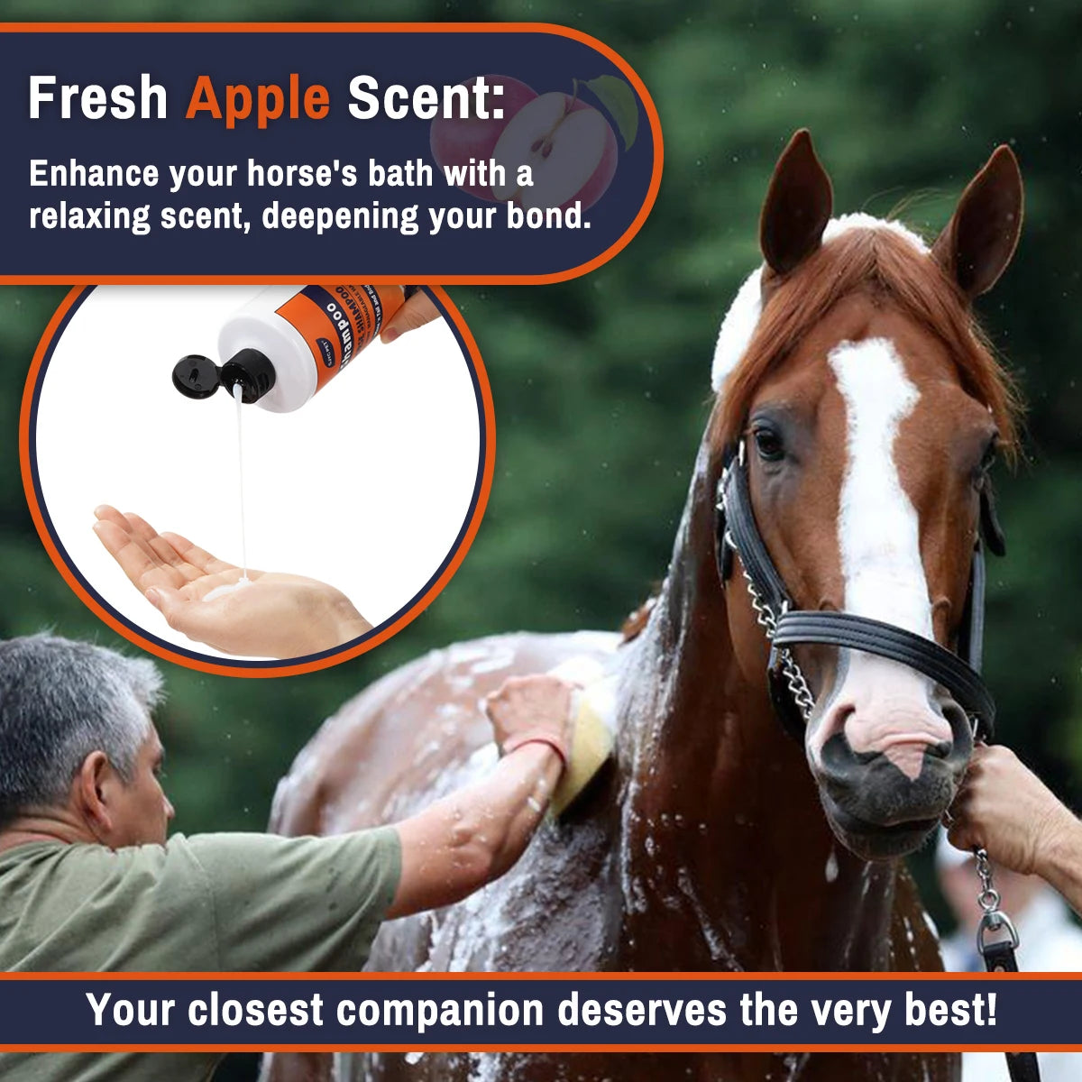 Gentle Equine Moisturizing Shampoo - Horse Conditioning Formula that Enhances Coat Shine , Color and Nourishes Mane @ ghoddosh.com