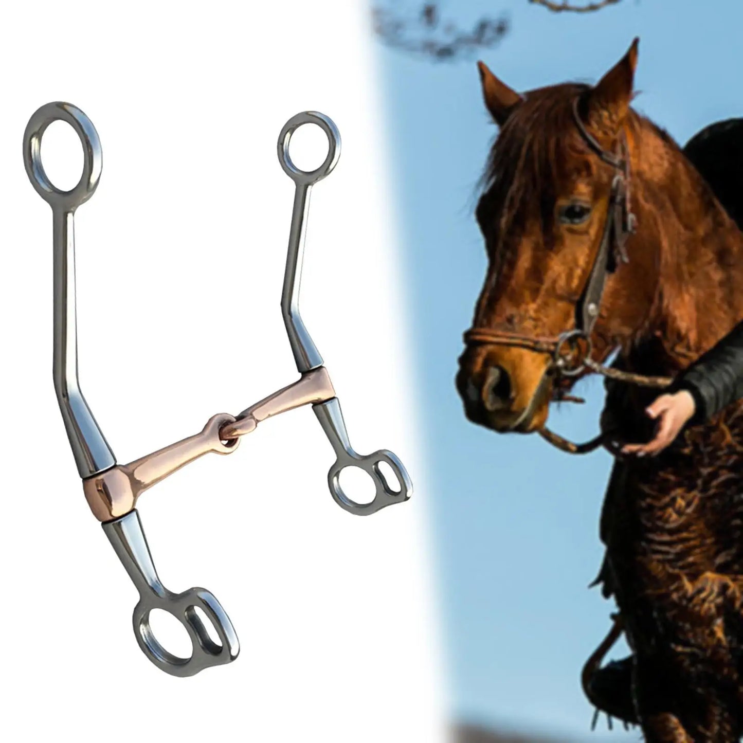 Horse Mouth Snaffle H Shape