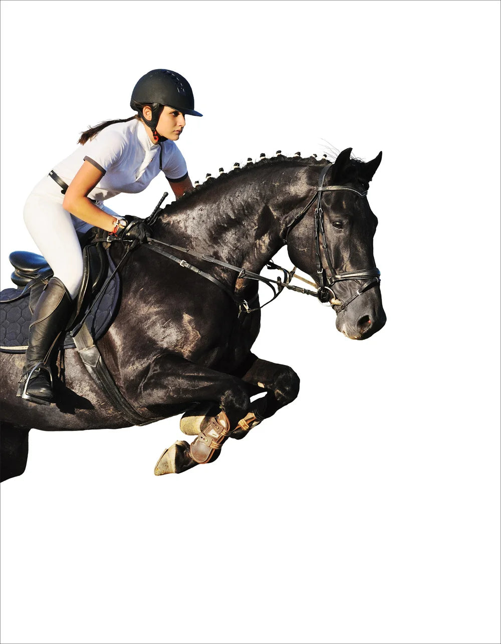 Horse Racing Equestrian Horse  Double Decorative Paintings @ ghoddosh.com