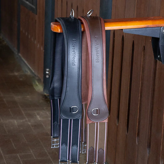 Premium Chocolate Leather Anatomical Girth | Anti-Chafe, Elastic & Padded for Training & Show @ ghoddosh.com