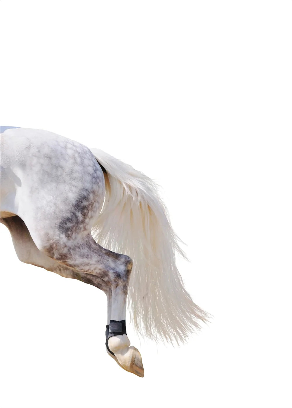 Horse Racing Equestrian Horse  Double Decorative Paintings @ ghoddosh.com