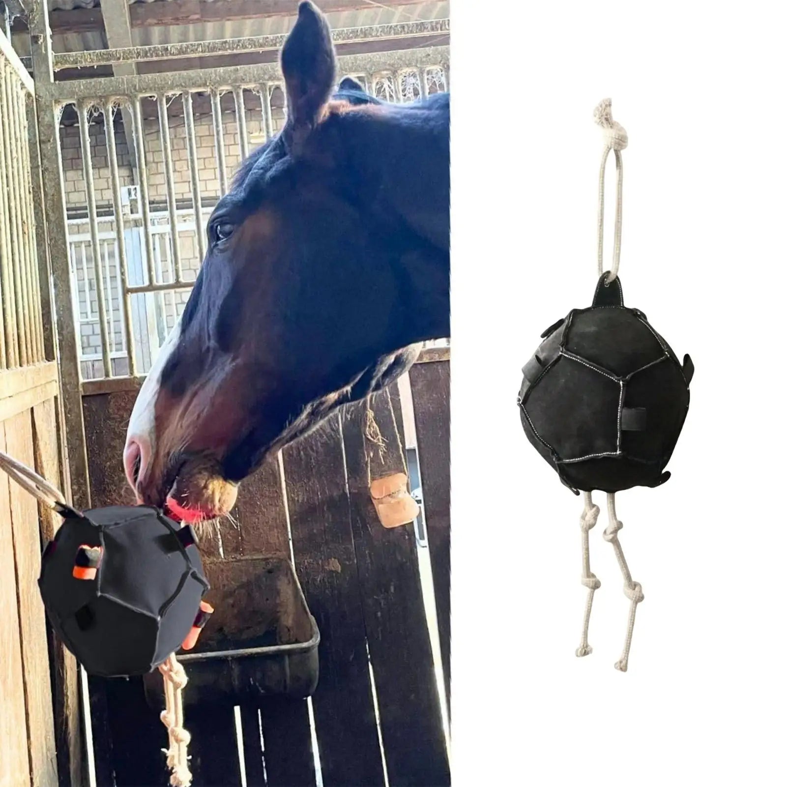 Horse carrot feeding ball toy / Hay Feeder  Hanging  Feeding Ball or any other animals - ghoddosh.com