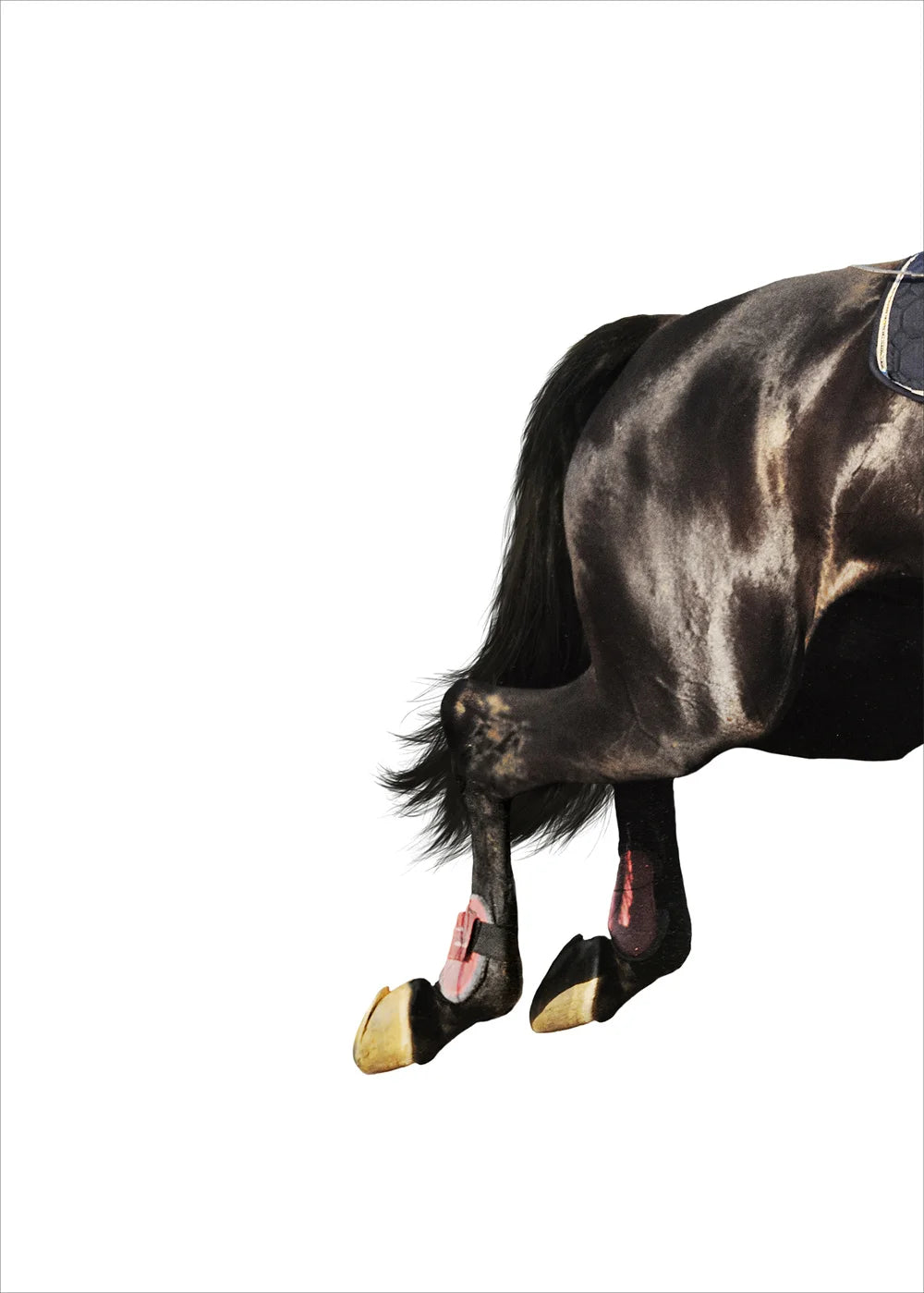 Horse Racing Equestrian Horse  Double Decorative Paintings @ ghoddosh.com