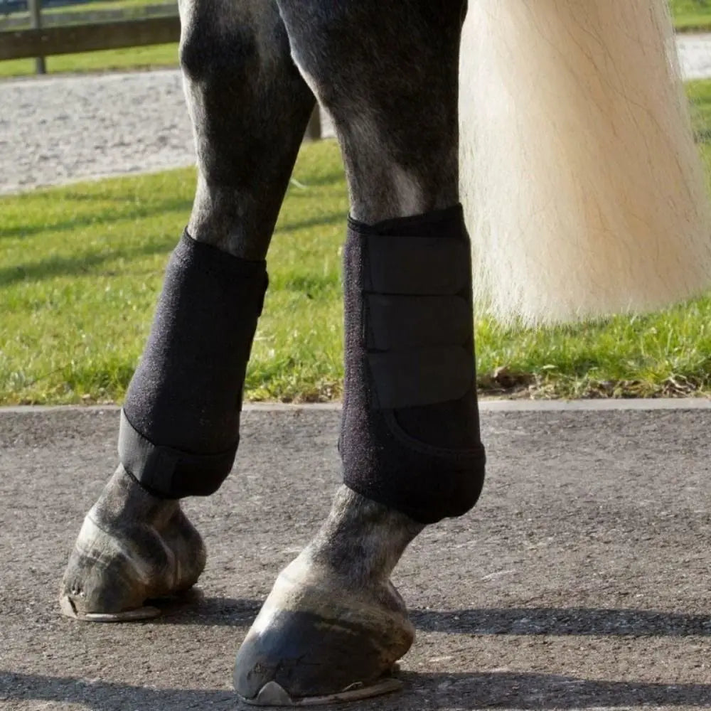 4pcs set  of Colorful Horse  Boots Easy To Wear Breathable Horse Leg Wraps - Ghoddosh