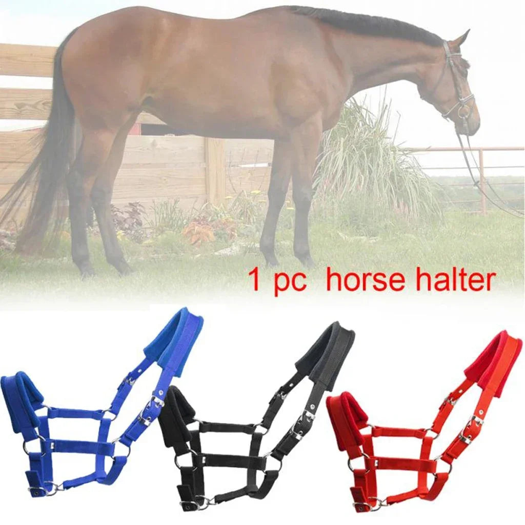 Soft Padded Pony Horse Halter / Bridle  Head Collar