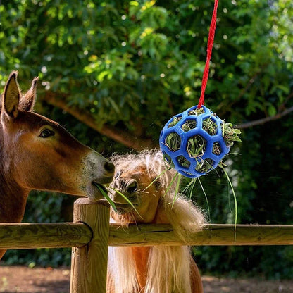 Horse Treat Ball Hay Feeder , A Hanging Feeding Toy for Horses