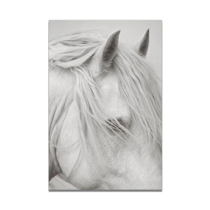 White Horse Print Art Canvas  Décor